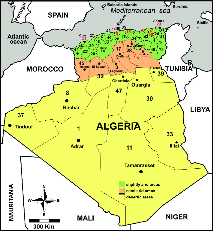 Algiers الجزائر